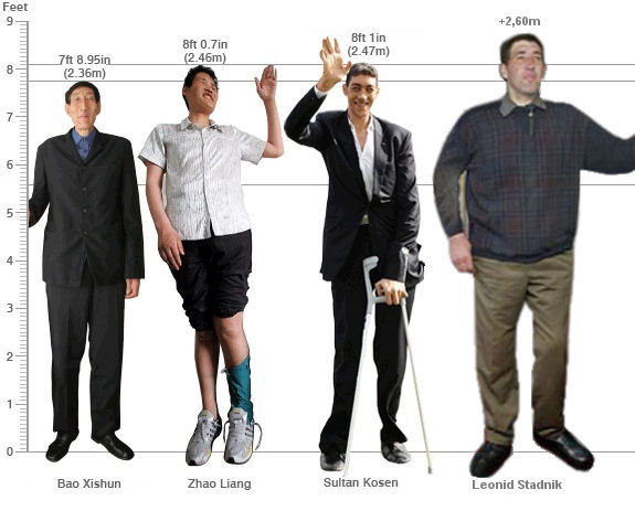 O homem mas alto do Guinness não é o homem mais alto do mundo - MDig